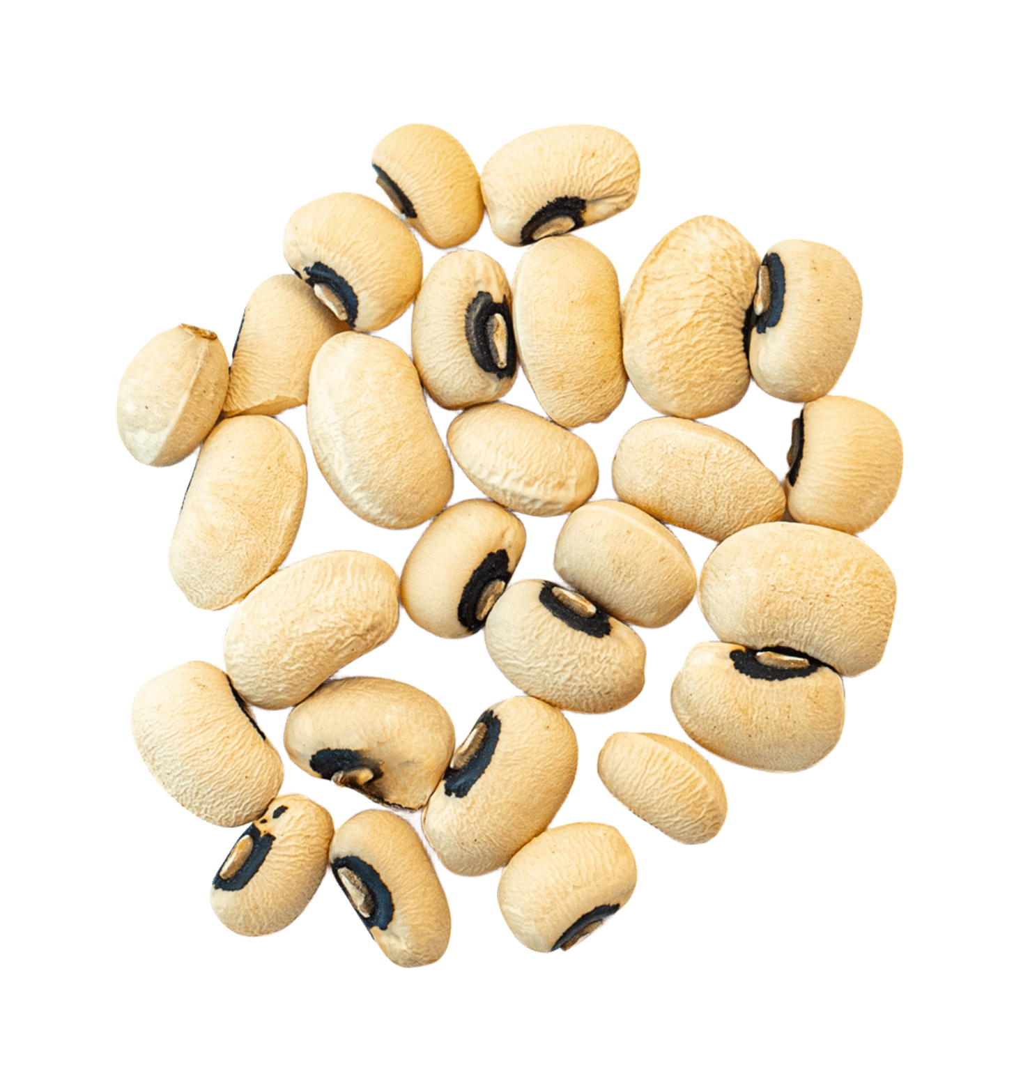 Frijol Castillaimage