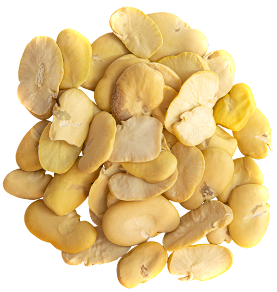 Haba Pelada Enteraimage